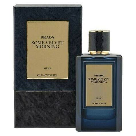 Prada Unisex Olfactories Some Velvet Morning Musk EDP Spray 